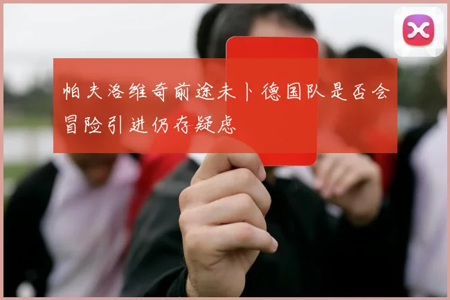 帕夫洛维奇前途未卜德国队是否会冒险引进仍存疑虑